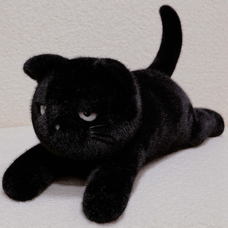 Cute Expressive Cat Plush Doll - Soft Stuffed Cat Toy with Adorable Facial Expressions 11