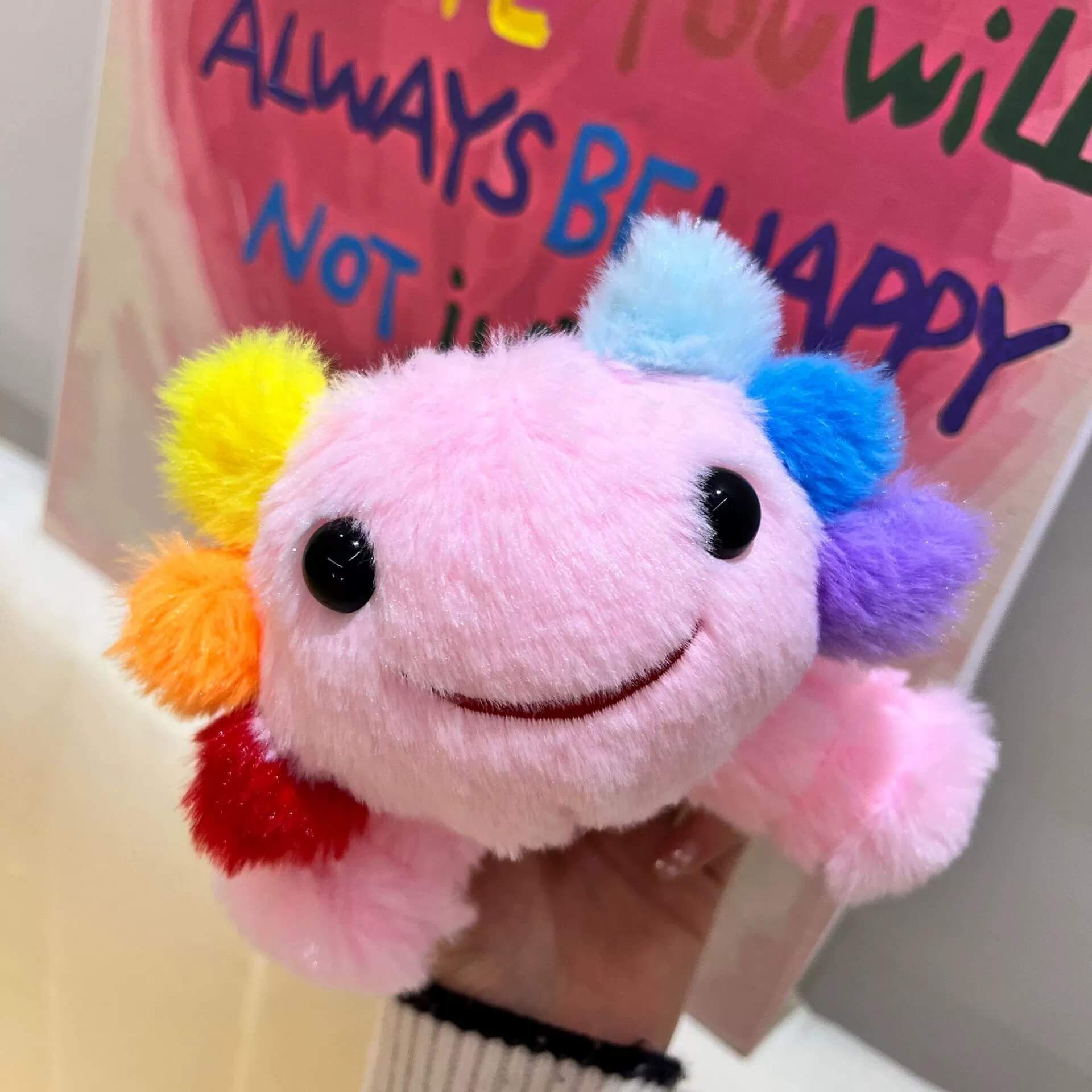 Wholesale 25CM Cute Furry Mexican Rainbow Axolotl Plush Keychain Multi Colors Soft Stuffed Salamander Peluche Kids Gift 11