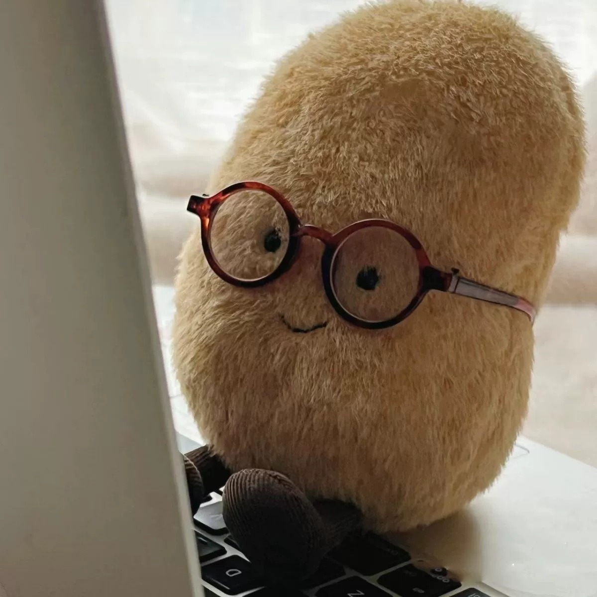 Peluche Pomme de terre nouvelle - Pomme de terre du Sud, style viral Xiaohongshu, cadeau pour enfants en gros 16