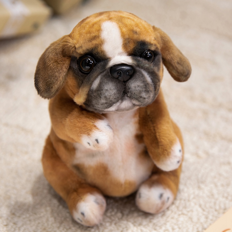 Peluche Carlin Réaliste - Jouet en peluche plus vrai que nature pour enfants et collectionneurs 17