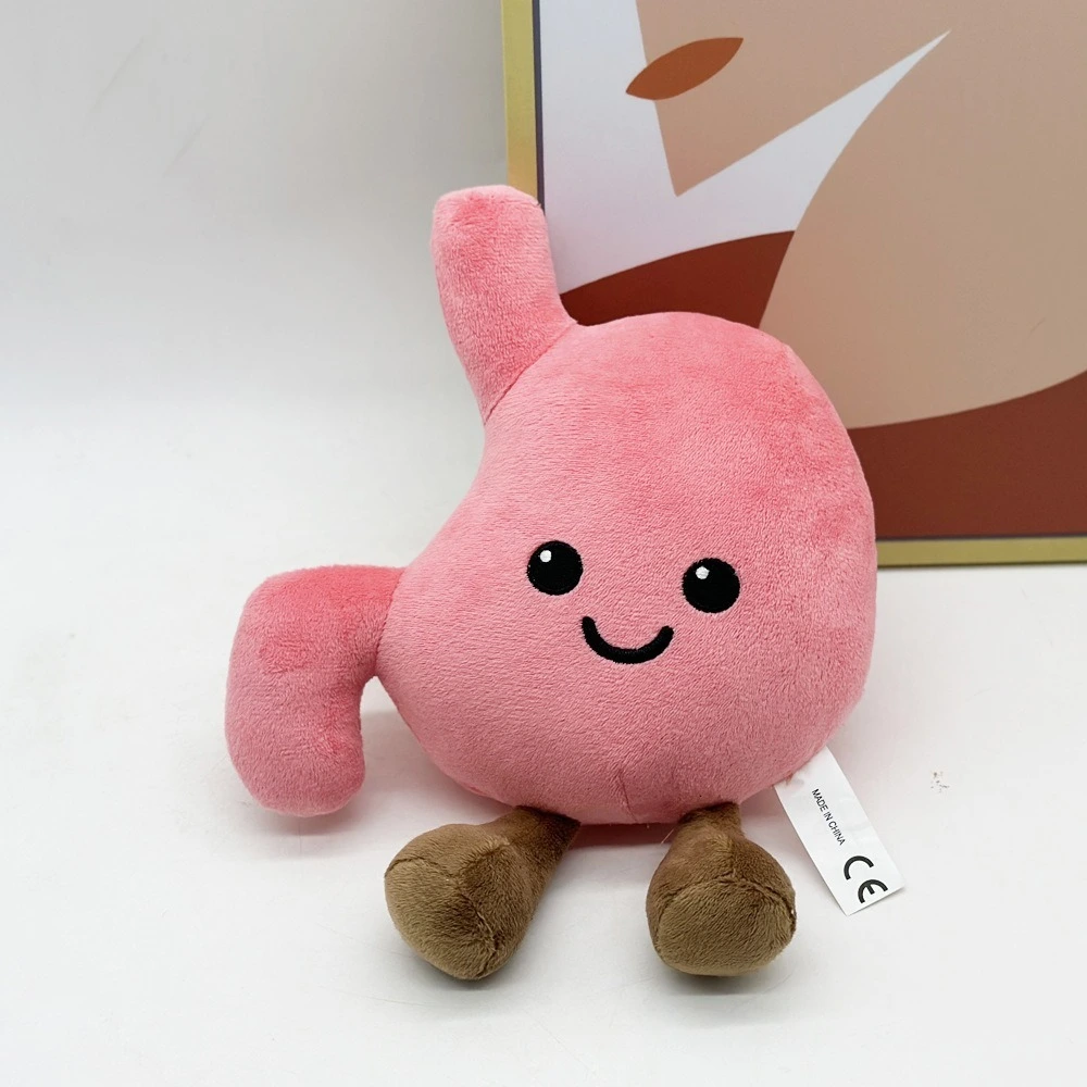 Cute Stomach Organ Plush Toy 25cm – Soft Anatomical Plush Doll for Kids Gifts or Medical Education 1