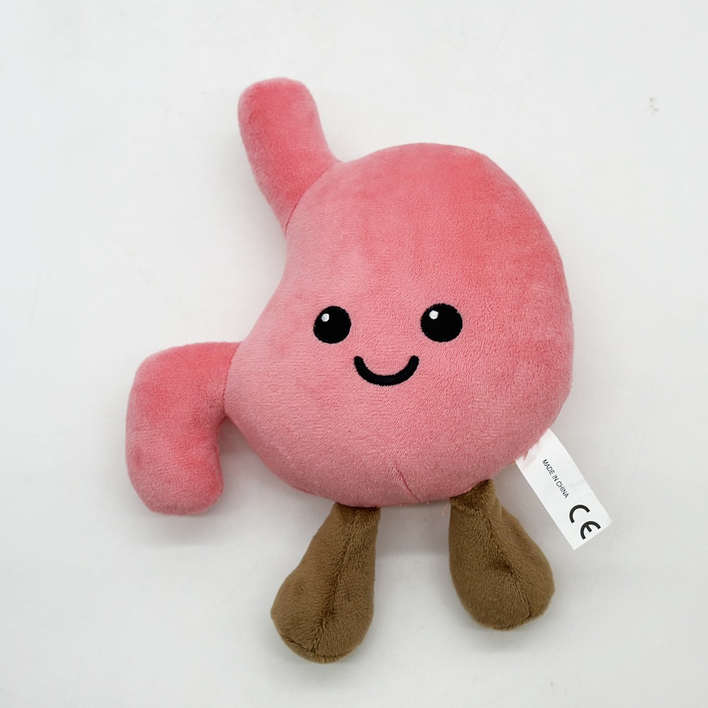 Cute Stomach Organ Plush Toy 25cm – Soft Anatomical Plush Doll for Kids Gifts or Medical Education 20