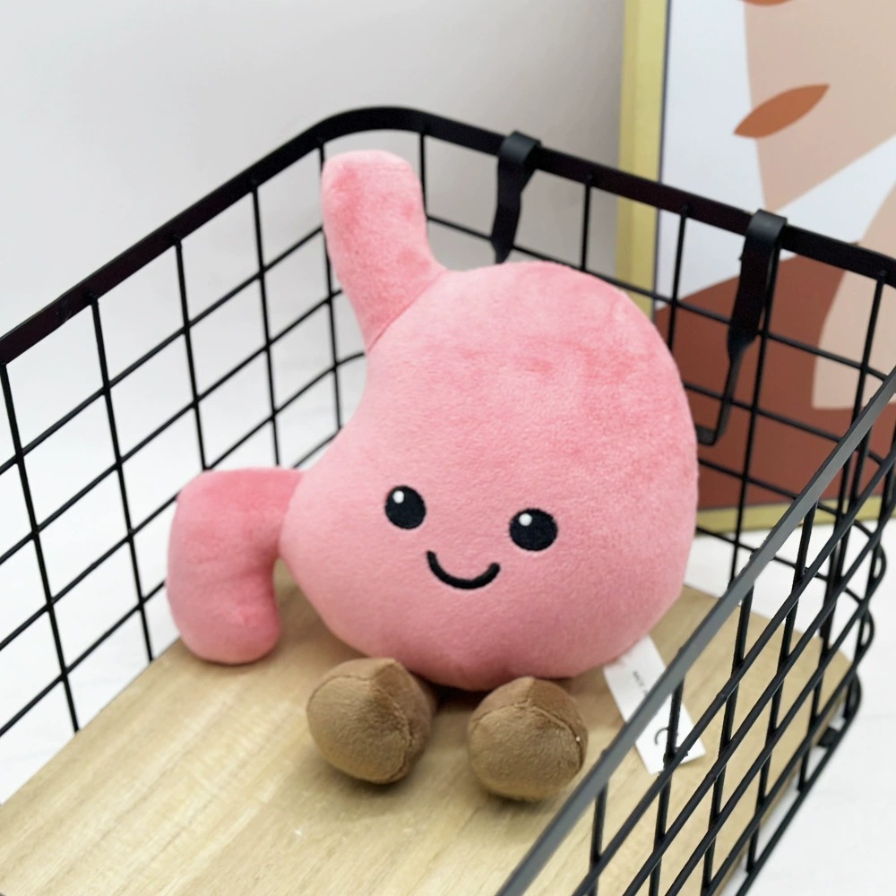 Cute Stomach Organ Plush Toy 25cm – Soft Anatomical Plush Doll for Kids Gifts or Medical Education 11