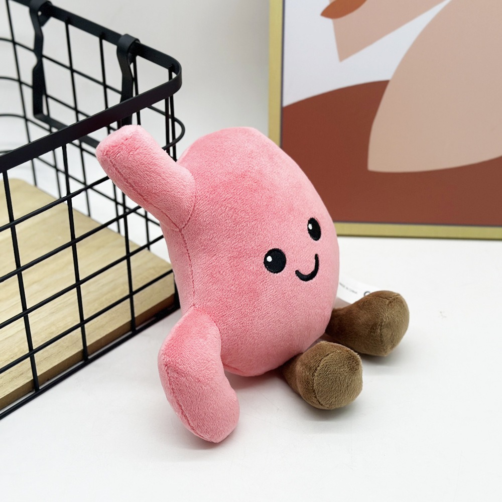 Cute Stomach Organ Plush Toy 25cm – Soft Anatomical Plush Doll for Kids Gifts or Medical Education 14