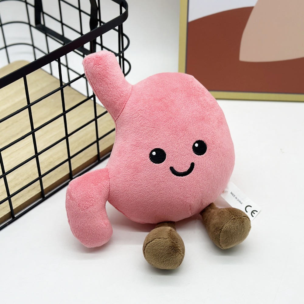 Cute Stomach Organ Plush Toy 25cm – Soft Anatomical Plush Doll for Kids Gifts or Medical Education 17
