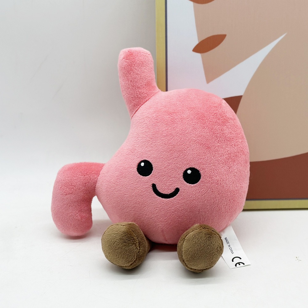 Cute Stomach Organ Plush Toy 25cm – Soft Anatomical Plush Doll for Kids Gifts or Medical Education 13