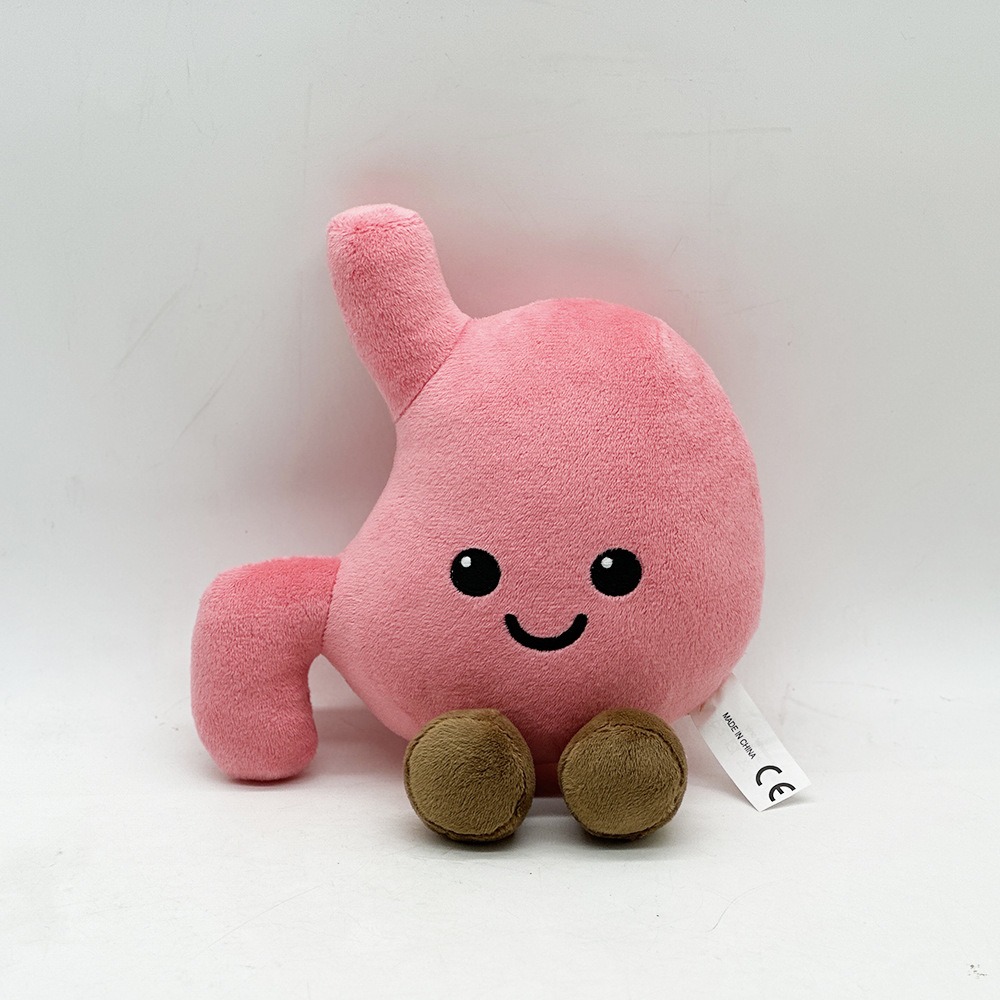 Cute Stomach Organ Plush Toy 25cm – Soft Anatomical Plush Doll for Kids Gifts or Medical Education 16