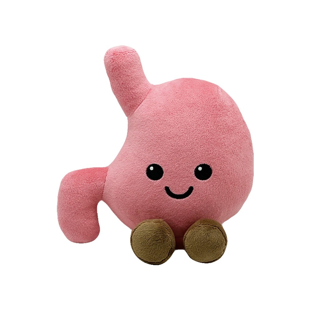 Cute Stomach Organ Plush Toy 25cm – Soft Anatomical Plush Doll for Kids Gifts or Medical Education 15