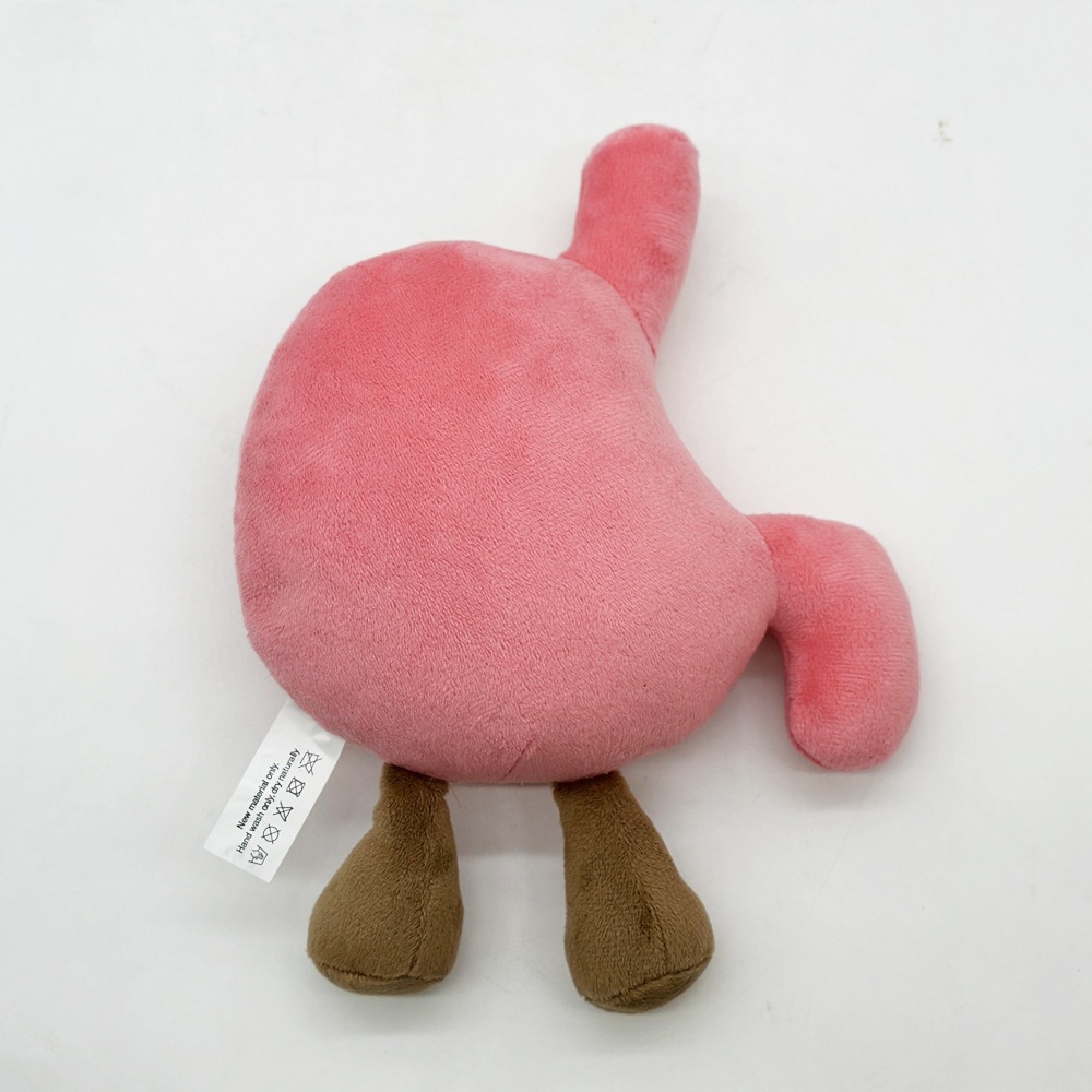 Cute Stomach Organ Plush Toy 25cm – Soft Anatomical Plush Doll for Kids Gifts or Medical Education 18