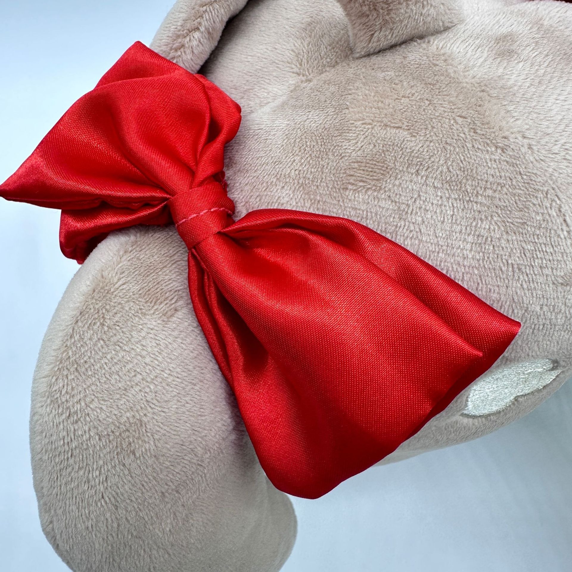 23cm   Momose Hiyori Cute Little Girl Plush Toy Anime Character Plushies Gifts Neuro-sama Plush Doll 15