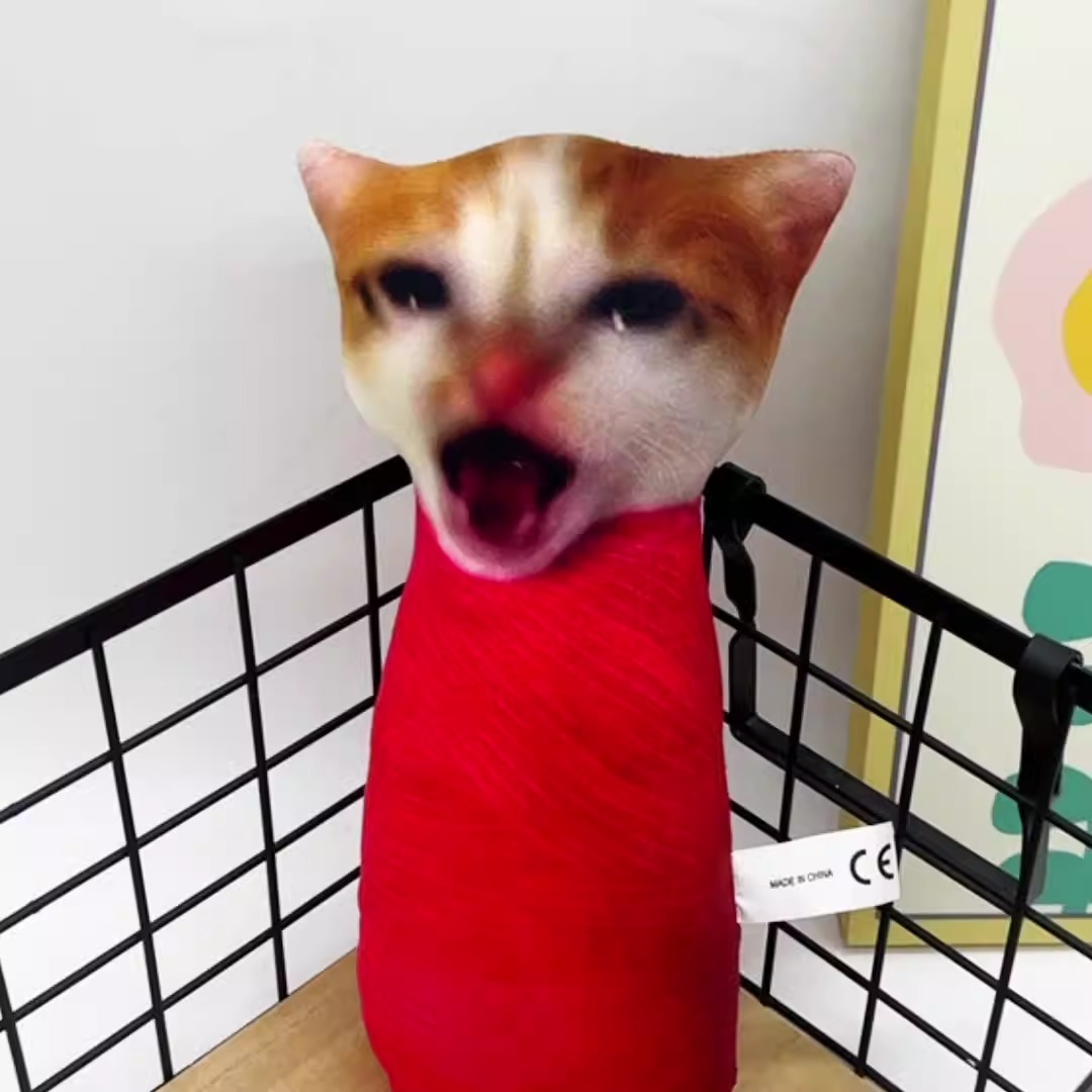 Factory Wholesale Internet Celebrity Meme Cat Plush Fun Printed Animal Cute Companion Oiiai Cat Plush Children Gift 14
