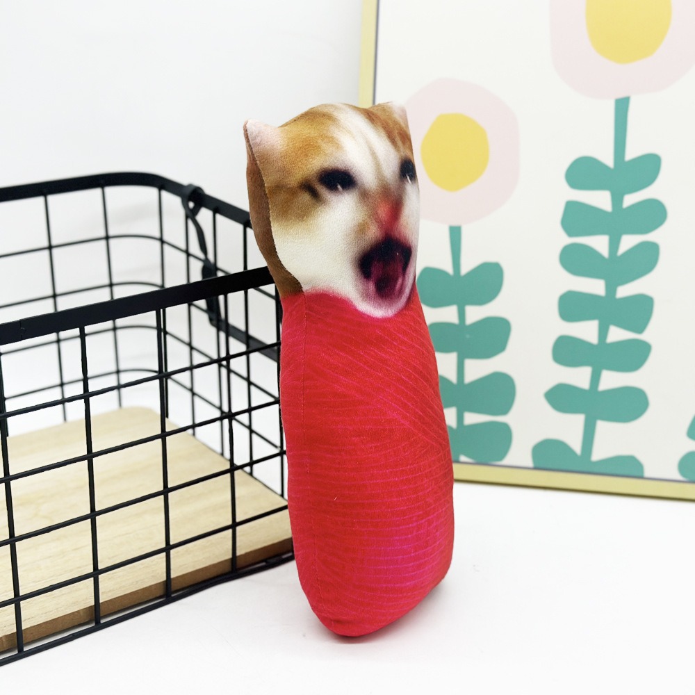 Factory Wholesale Internet Celebrity Meme Cat Plush Fun Printed Animal Cute Companion Oiiai Cat Plush Children Gift 12