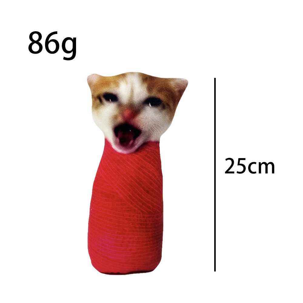 Factory Wholesale Internet Celebrity Meme Cat Plush Fun Printed Animal Cute Companion Oiiai Cat Plush Children Gift 15