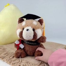 Manufacturer Wholesale Cute Plushies Kawaii Raccoon Graduation Plush Doll Stuffed Toy Gift Present 9