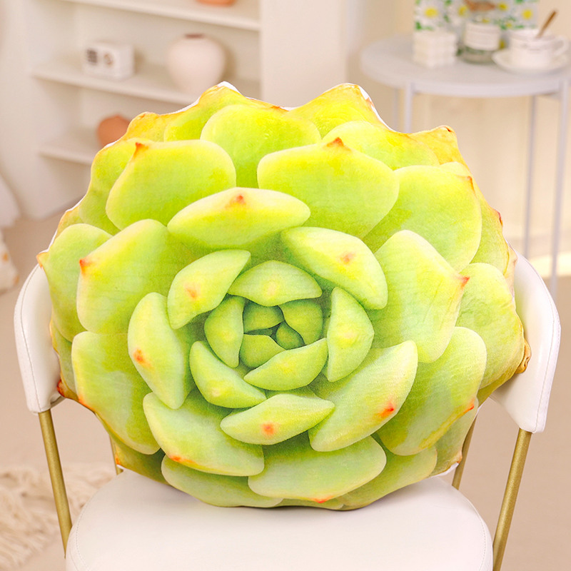 Creative design and simulation of succulent plush toy pillows, soft and comfortable, warm and cozy home decor 13