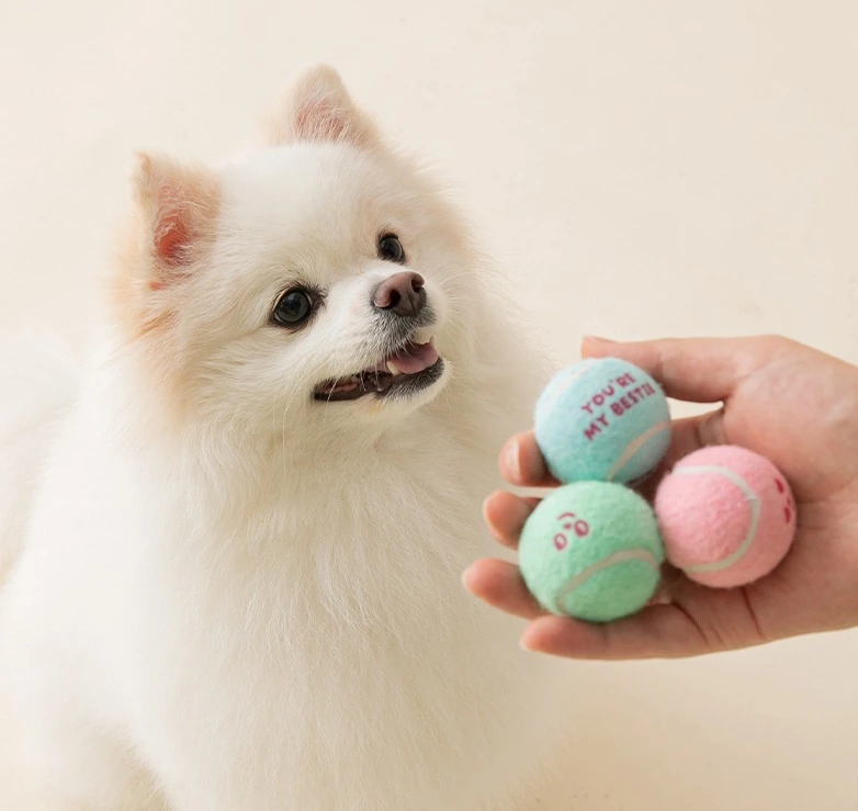 Factory Direct  4cm Muti Colour Dog Toy Ball Training Playing Easy Catching Toy Promotional Pet Tennis Ball for Dog 1