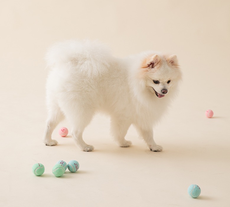 Factory Direct 4cm Muti Colour Dog Toy Ball Training Playing Easy Catching Toy Promotional Pet Tennis Ball for Dog 12