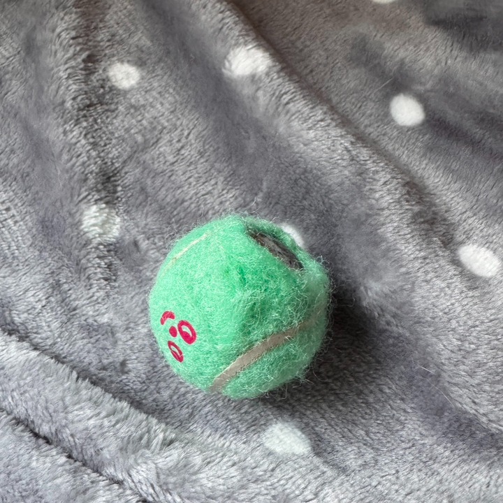 Factory Direct 4cm Muti Colour Dog Toy Ball Training Playing Easy Catching Toy Promotional Pet Tennis Ball for Dog 19