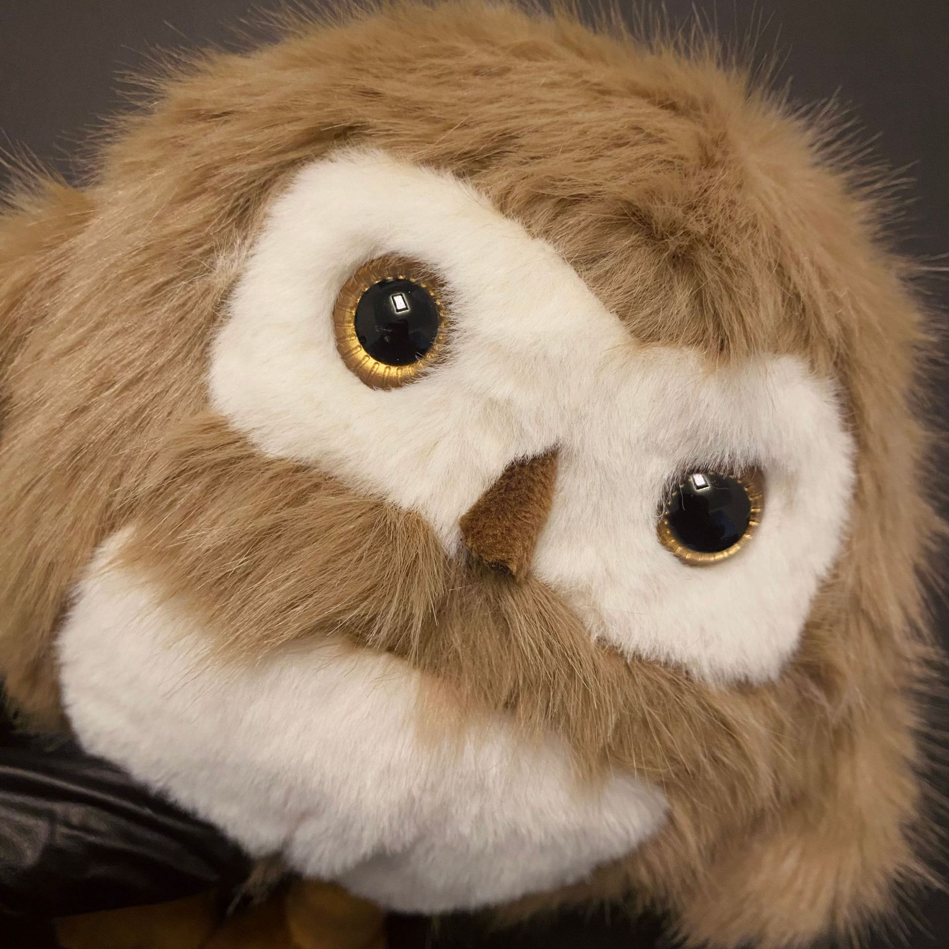 2025 Wholesale 20CM Owl Plush Toy Promotional Cheap Stuffed Animal  Plush Doll for Children Gift 12