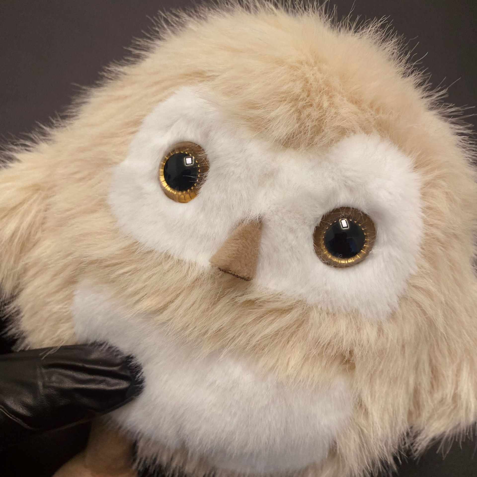 2025 Wholesale 20CM Owl Plush Toy Promotional Cheap Stuffed Animal  Plush Doll for Children Gift 16