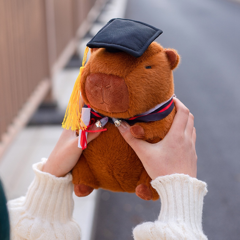 Graduation season capybara plush toy creative design, sending students and friends during graduation season 16