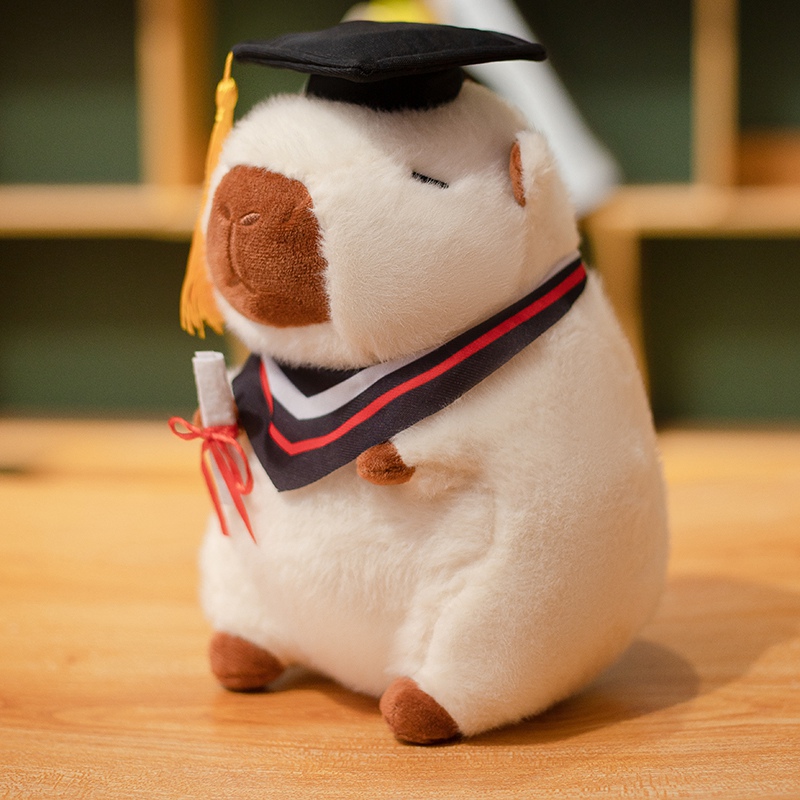 Graduation season capybara plush toy creative design, sending students and friends during graduation season 11