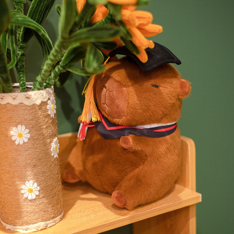 Graduation season capybara plush toy creative design, sending students and friends during graduation season 15