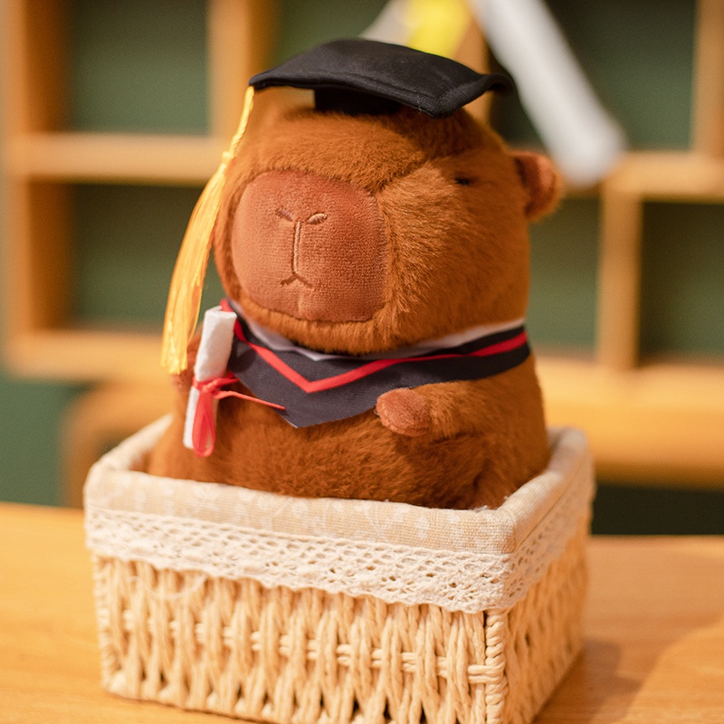 Graduation season capybara plush toy creative design, sending students and friends during graduation season 14