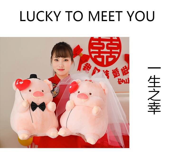 Wholesale Kawaii Valentine Plush New Design Cartoon Pink Pig Stuffed Animal Toy Lovely Angel Pig Plush Anime Doll 15