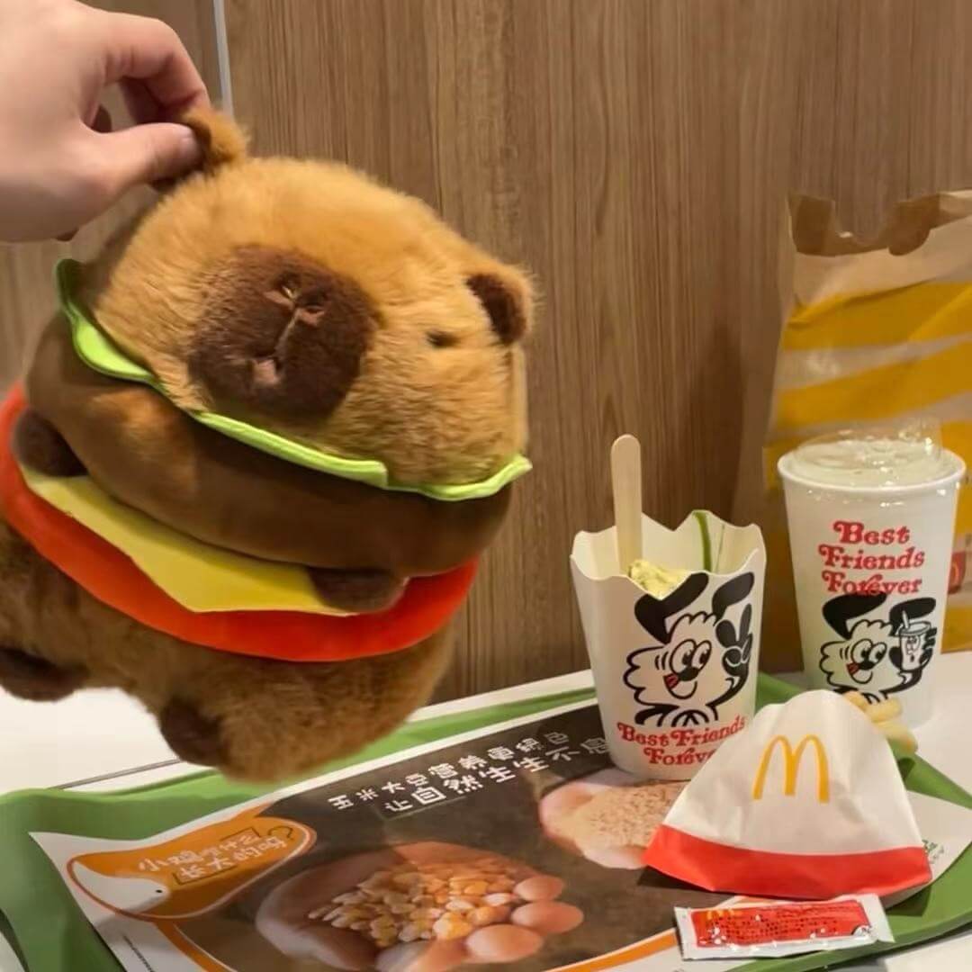 Peluche Hamburger Capybara de 25 cm, simulation Capybara, jouet moelleux style anime, peluche kawaii, animal en peluche mignon, cadeau pour enfant 14