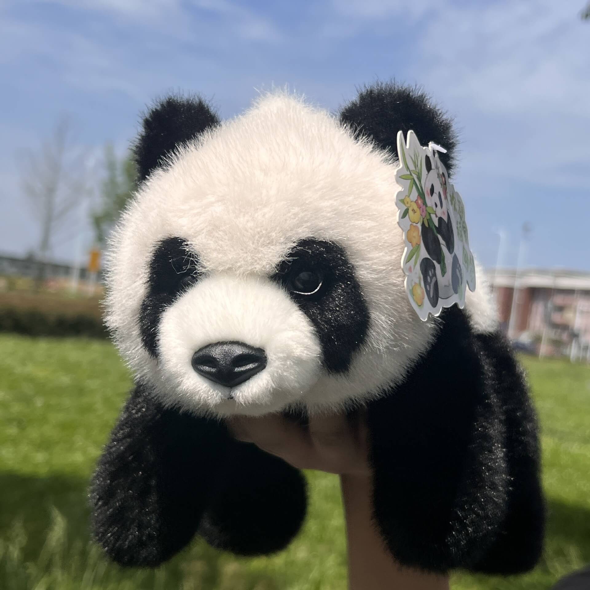Hot Selling Cartoon Panda Plush Toys Black White Panda Stuffed Animals Soft  Character Design Embroidered Logo Gift 13