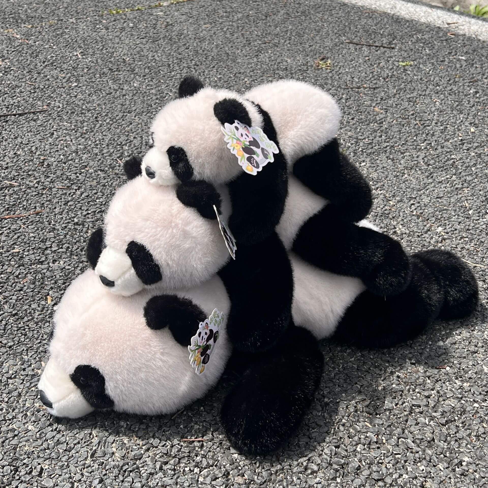 Hot Selling Cartoon Panda Plush Toys Black White Panda Stuffed Animals Soft  Character Design Embroidered Logo Gift 14