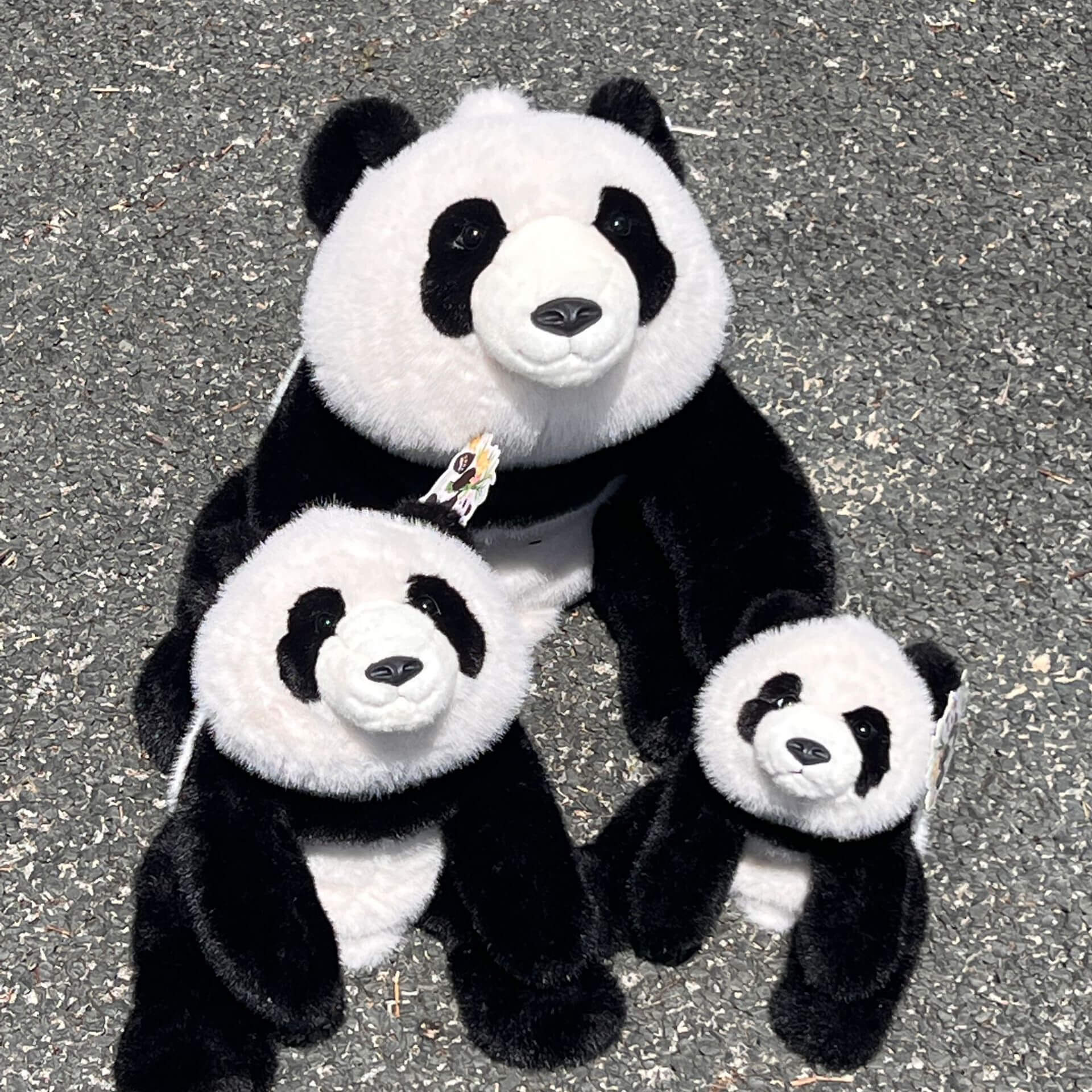 Hot Selling Cartoon Panda Plush Toys Black White Panda Stuffed Animals Soft  Character Design Embroidered Logo Gift 17