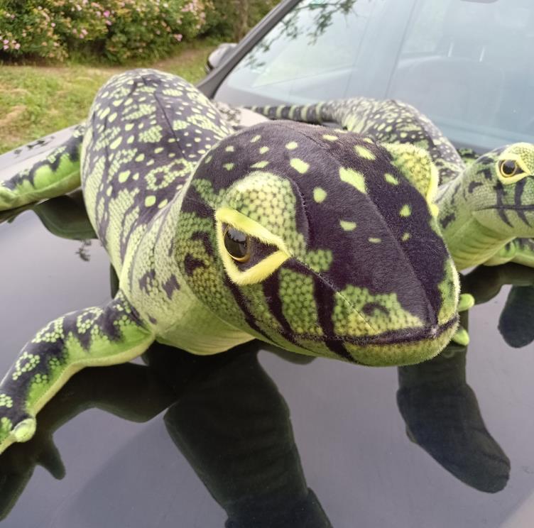 Real life lizard simulation plush toy realistic stuffed animal children doll wild toys lifelike gifts 11