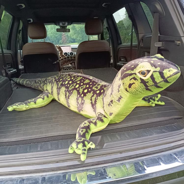 Real life lizard simulation plush toy realistic stuffed animal children doll wild toys lifelike gifts 8