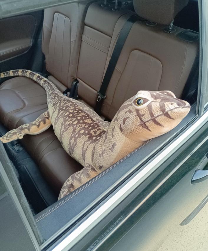 Real life lizard simulation plush toy realistic stuffed animal children doll wild toys lifelike gifts 10