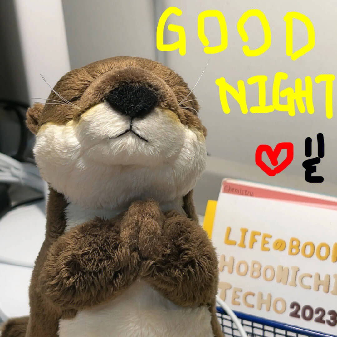 Factory Direct Wholesale Cute Lifelike Soft Otter Plush Toy Sea Stuffed Animal Toy with PP Cotton Filling(20cm /30cm ) 12