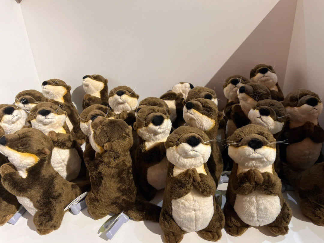 Factory Direct Wholesale Cute Lifelike Soft Otter Plush Toy Sea Stuffed Animal Toy with PP Cotton Filling(20cm /30cm ) 11