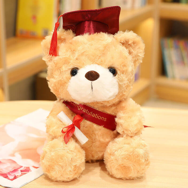 23cm Graduation Gift Dr. Bear Plush Toy  Bachelor's Cap Bear Stuffed Kawaii Animal Dolls Graduation Gifts 12