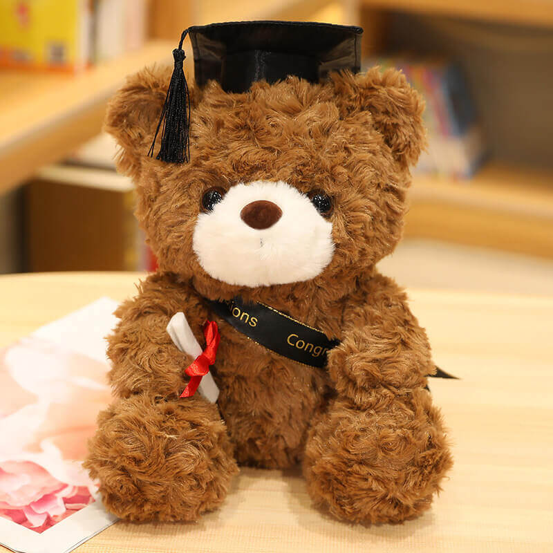 23cm Graduation Gift Dr. Bear Plush Toy  Bachelor's Cap Bear Stuffed Kawaii Animal Dolls Graduation Gifts 10