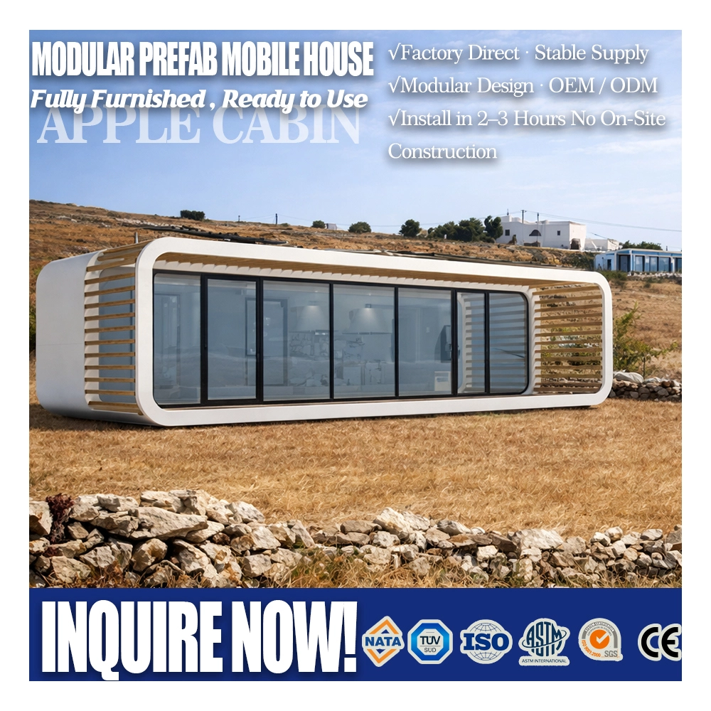 Minicasa de lujo con diseño minimalista moderno TH-L01 1