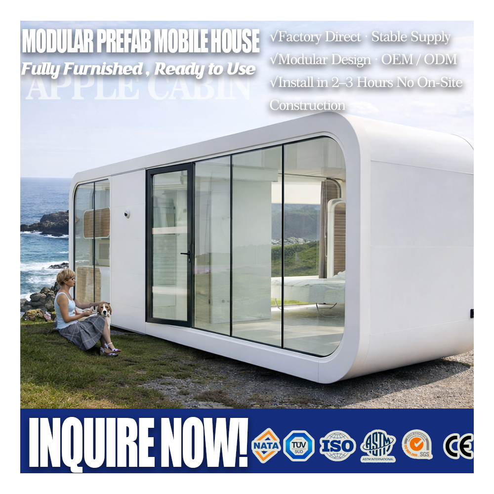 Tiny House Prefab with Bathroom Kitchen TH-B01 1