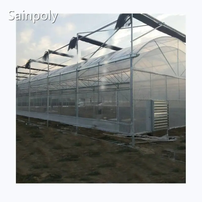 Cheap Plastic Film Greenhouse Commercial Greenhouse Multi Span Greenhouse Wholesale - Sainpoly 1