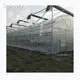 Cheap Plastic Film Greenhouse Commercial Greenhouse Multi Span Greenhouse Wholesale - Sainpoly 1