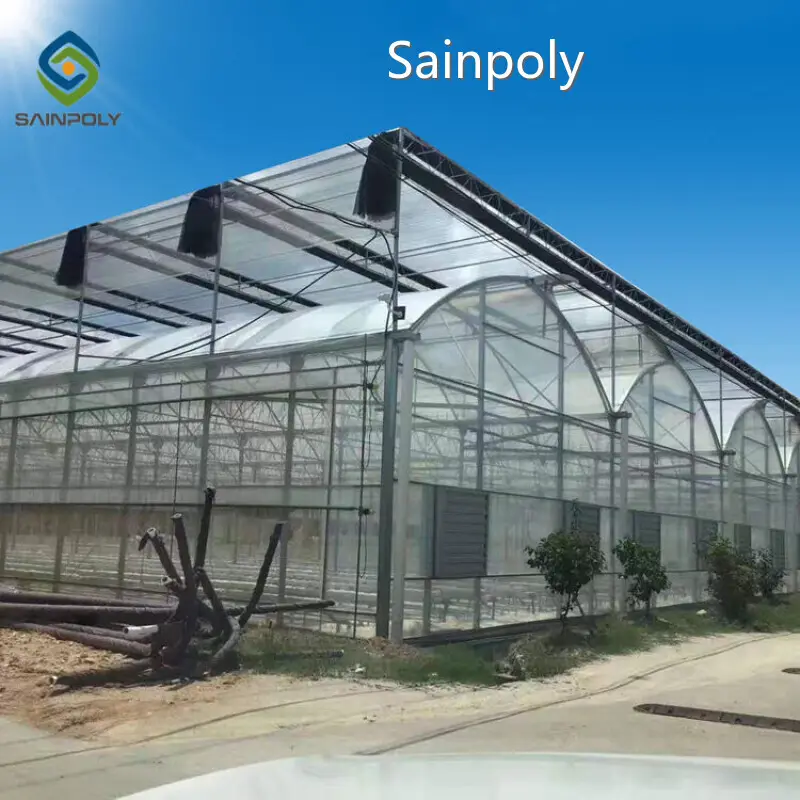 Agriculture Film Greenhouse Wholesale Film Greenhouse Wholesale - Sainpoly 1