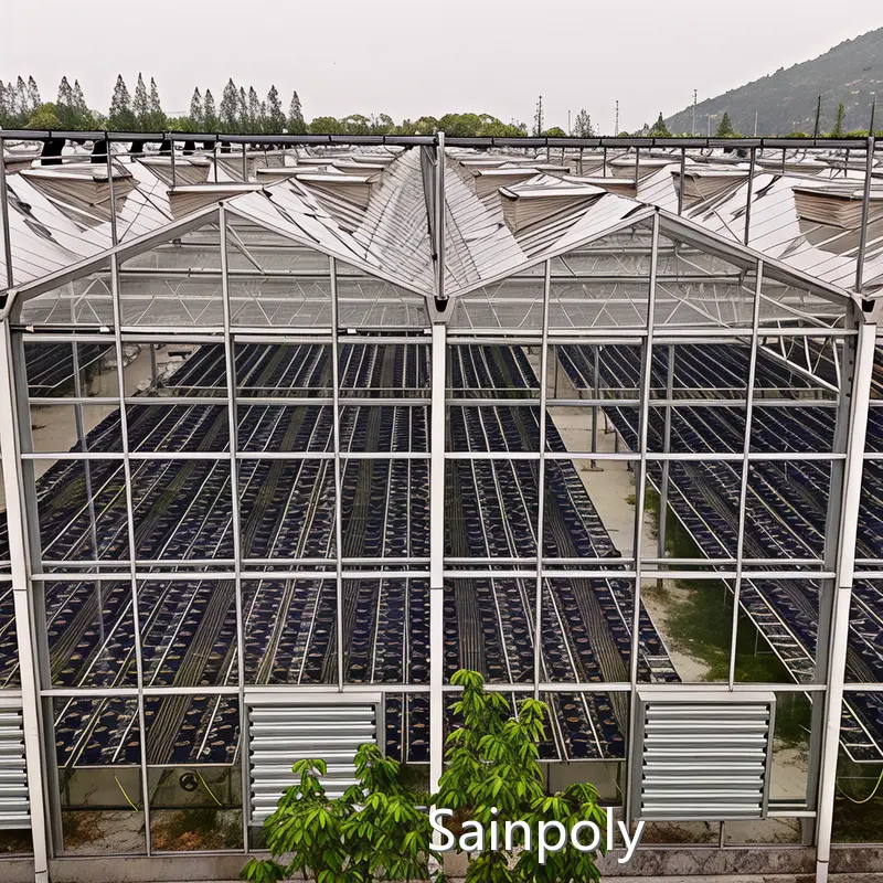 Hydroponic Greenhouse Construction Factory by Sainpoly 1