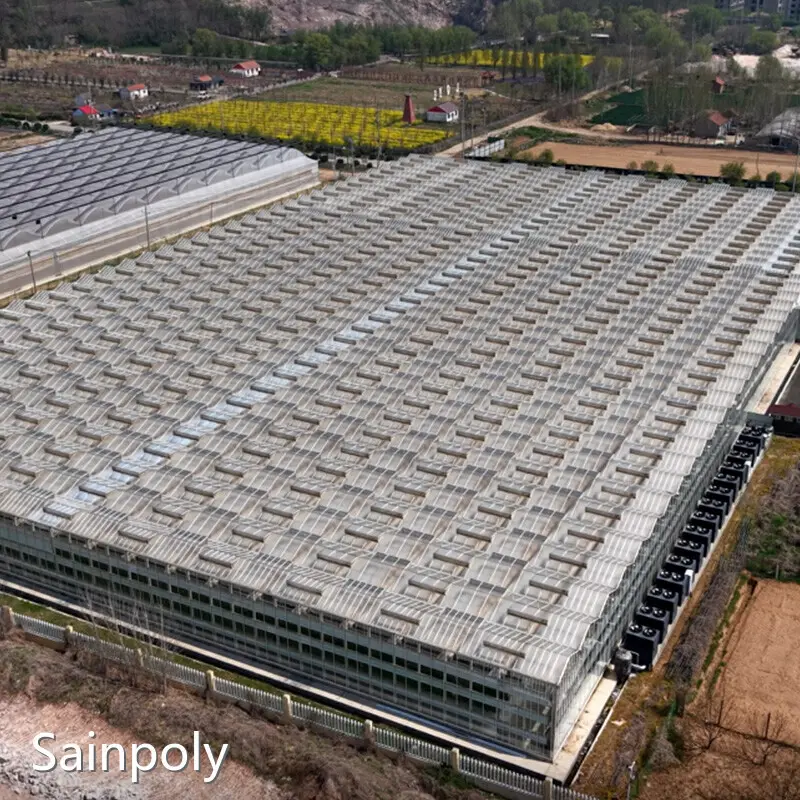 Hydroponic Greenhouse Company by Sainpoly 1