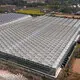 Hydroponic Greenhouse Company by Sainpoly 1