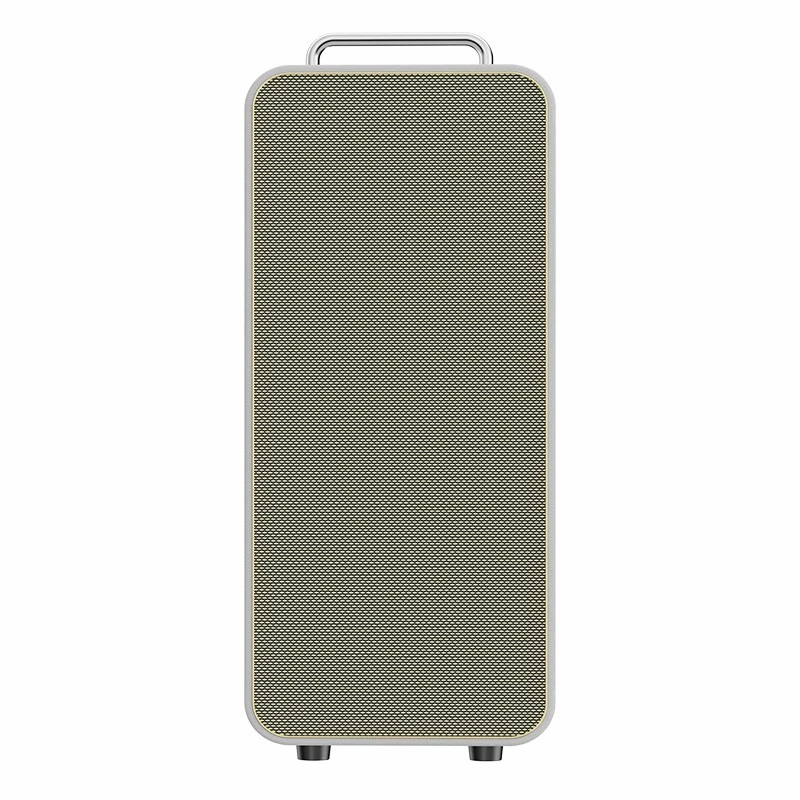 ลำโพงปาร์ตี้ 120 วัตต์ พร้อมวูฟเฟอร์คู่ขนาด 8 นิ้ว | Deluxe AV AP-2628-8 1