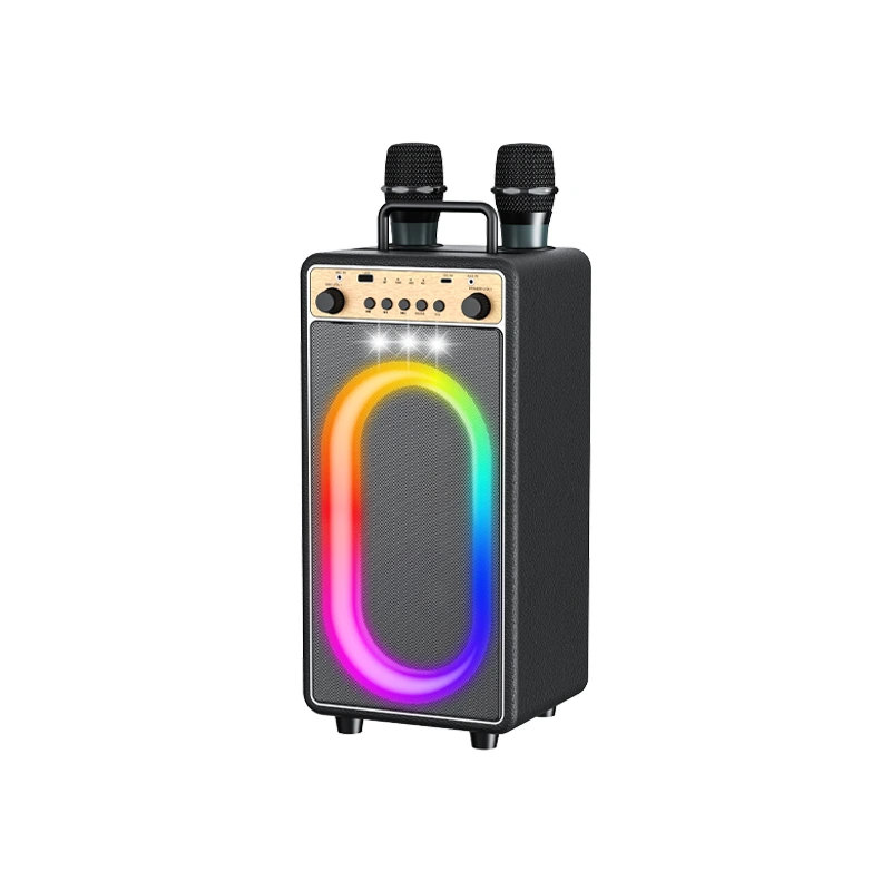 30W Portable Karaoke Speaker with Dual 5″ Woofers | Deluxe AV AP-2520 1